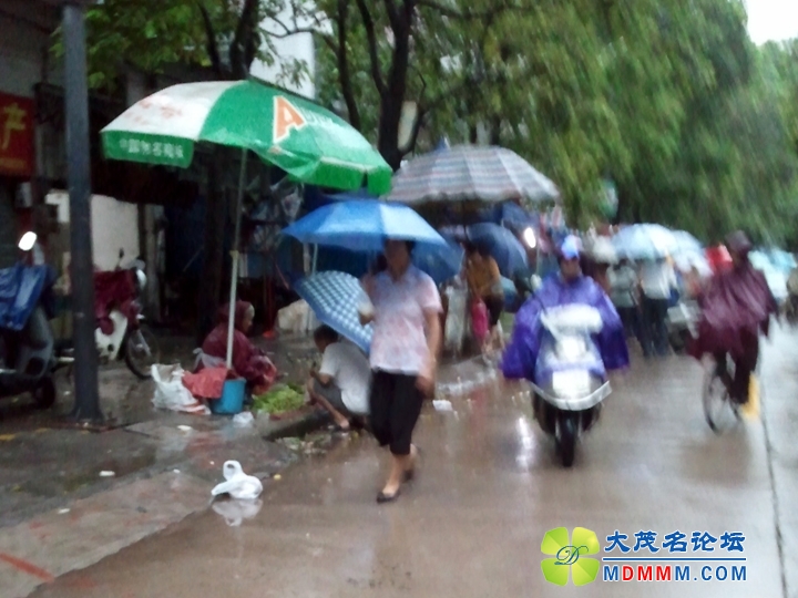 WP_001241.jpg