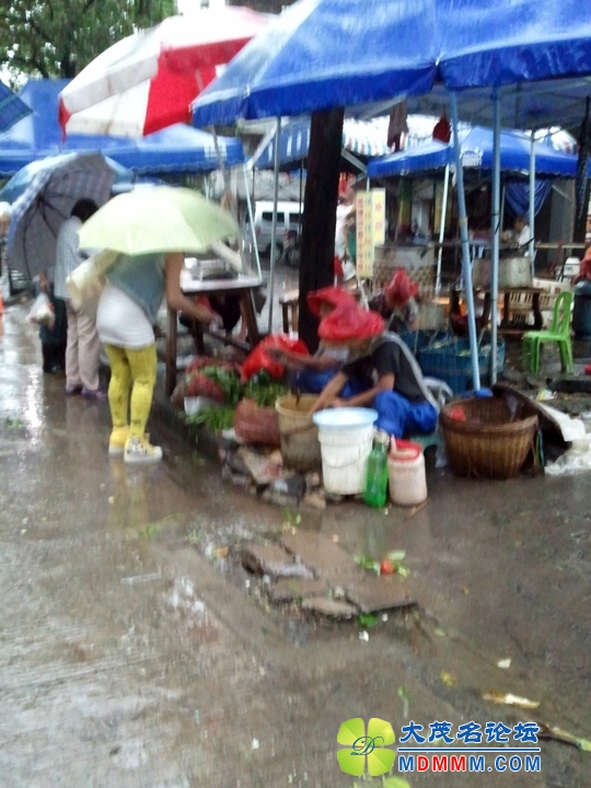 WP_001250.jpg