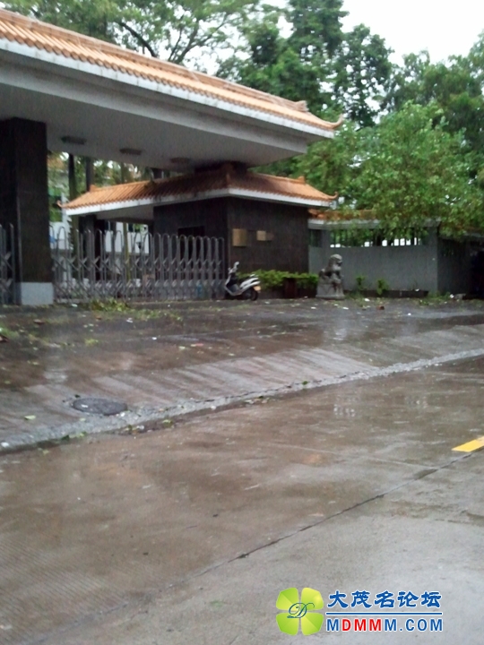 WP_001254.jpg