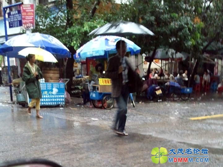WP_001271.jpg