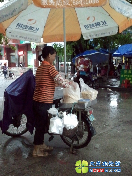 WP_001274.jpg
