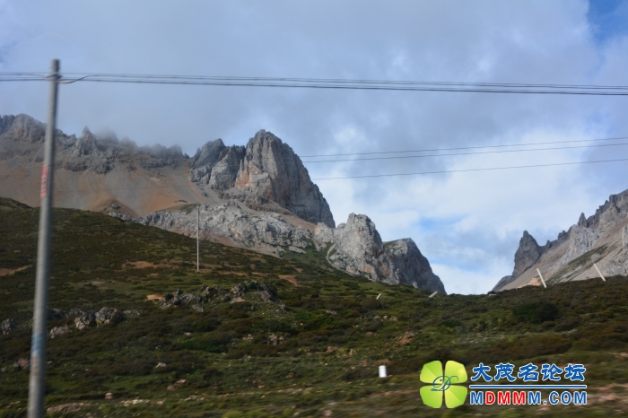 DSC_2411.jpg