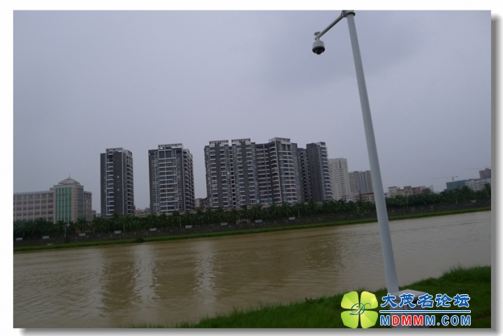 2013-08-16 ͽС ע֦԰044.jpg