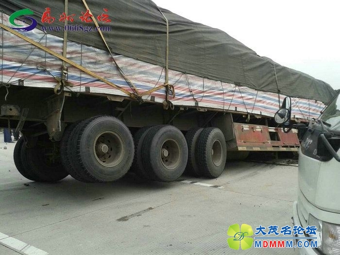 162926lnhxn2nnnlpnycyq.jpg
