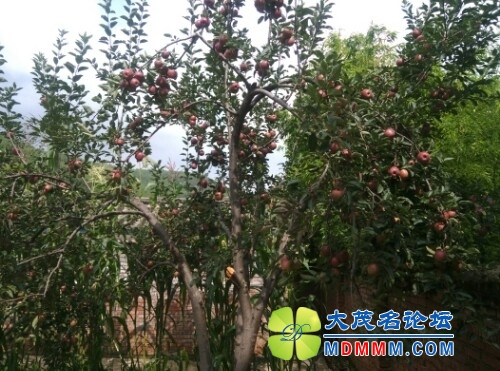 IMG20130821112603.jpg