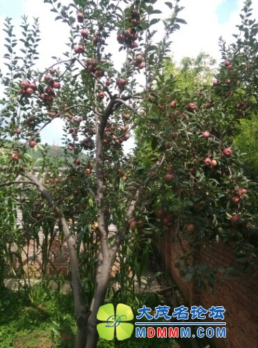 IMG20130821112616.jpg