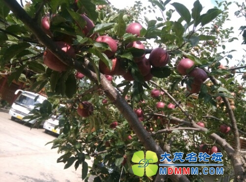 IMG20130821113223.jpg