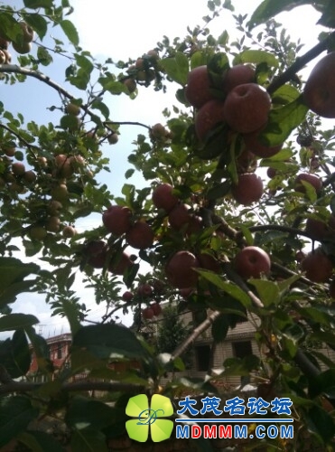 IMG20130821113256.jpg