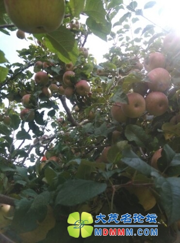 IMG20130821113849.jpg