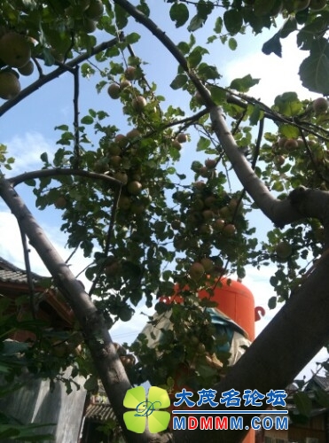 IMG20130821113903.jpg
