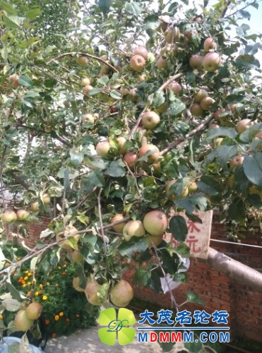 IMG20130821113931.jpg