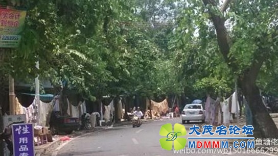 QQͼƬ20130821123742.jpg