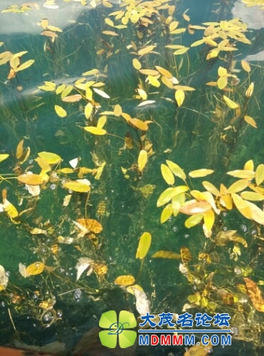 IMG20130821230851.jpg