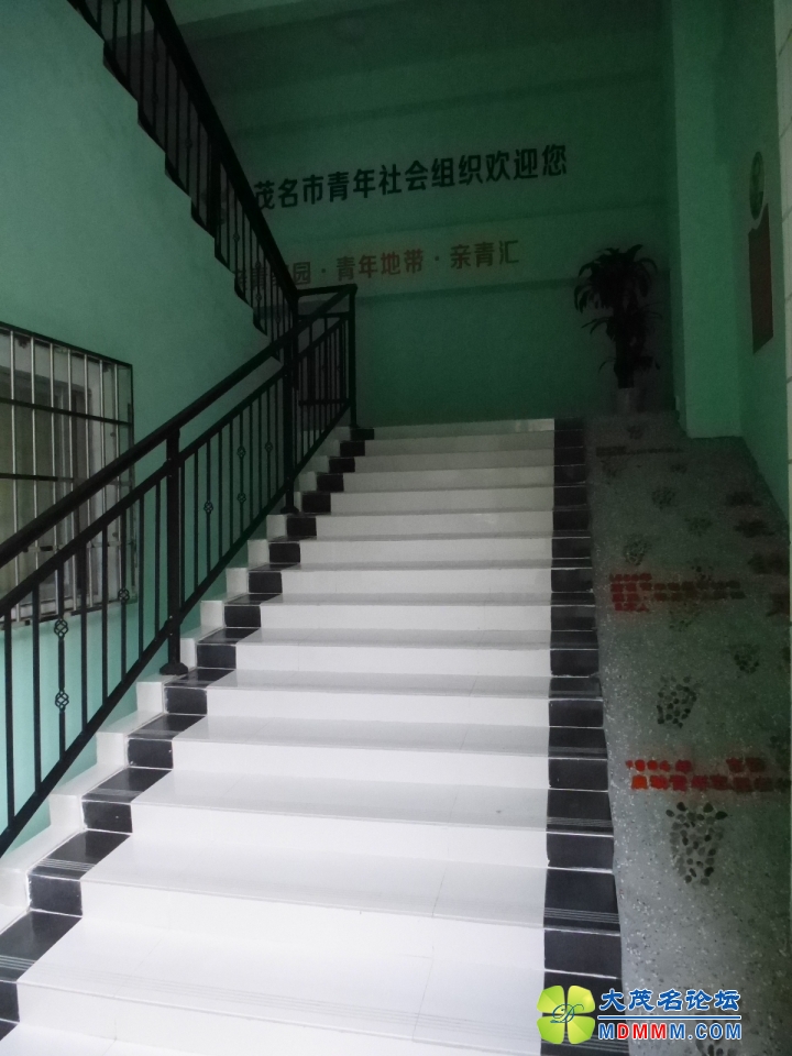 P1040959.JPG
