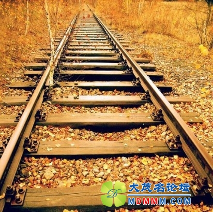 微博桌面2012_1204596896.JPG