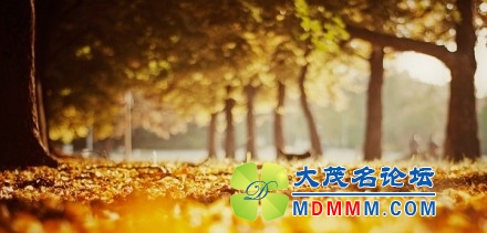 微博桌面2012_1227061444.JPG