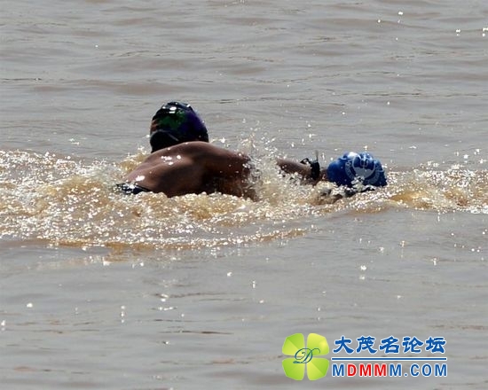 20130903101410761d1_550.jpg
