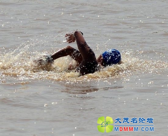 20130903101415e7ba5_550.jpg
