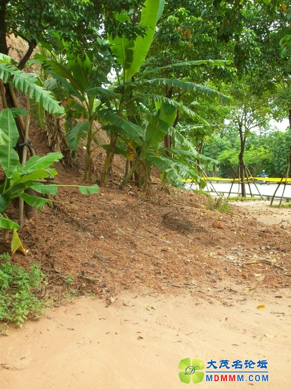 ALIM0673.JPG