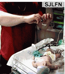 1.gif