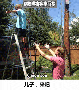 6.gif
