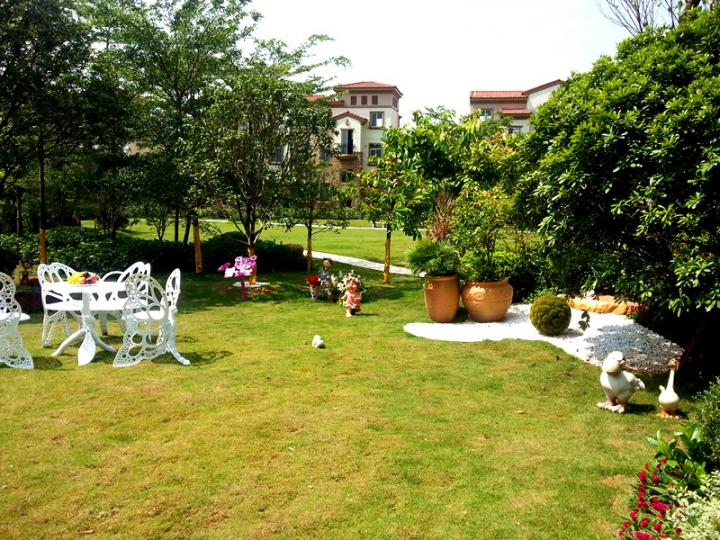 20130907_104213_.jpg