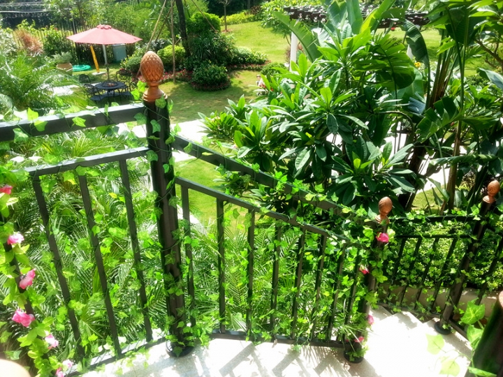 20130907_104451_.jpg