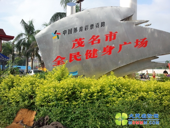 WP_001429.jpg