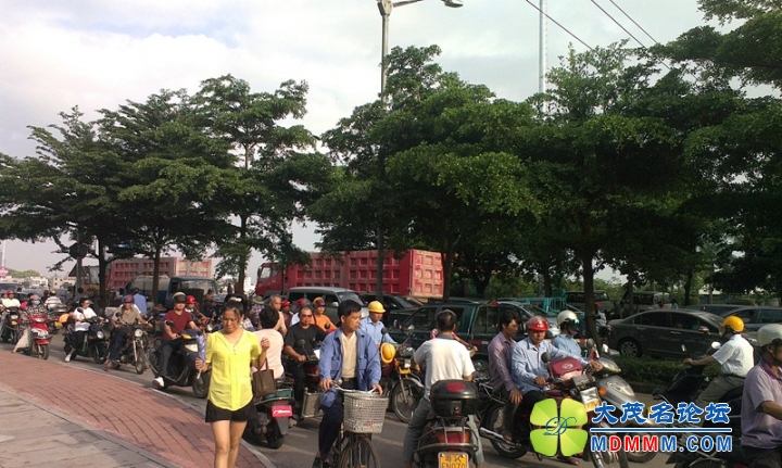 IMAG1220_.jpg