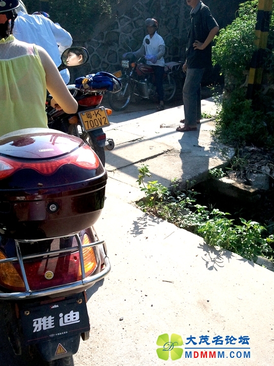WP_001434.jpg