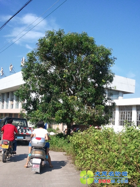 WP_001441.jpg