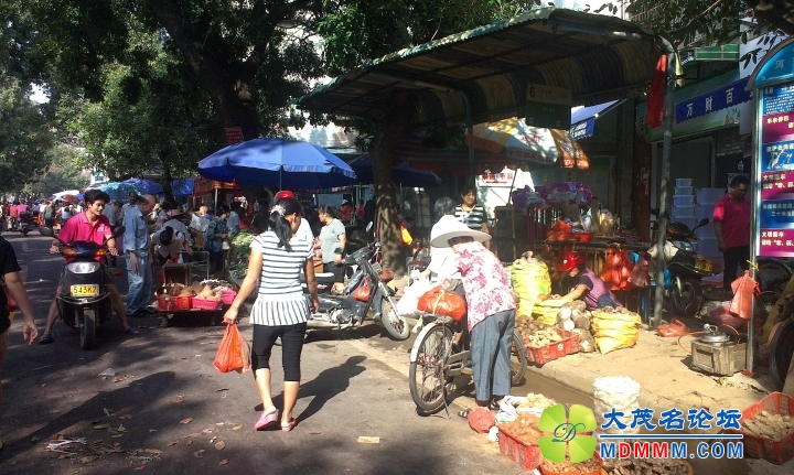IMAG1254.jpg