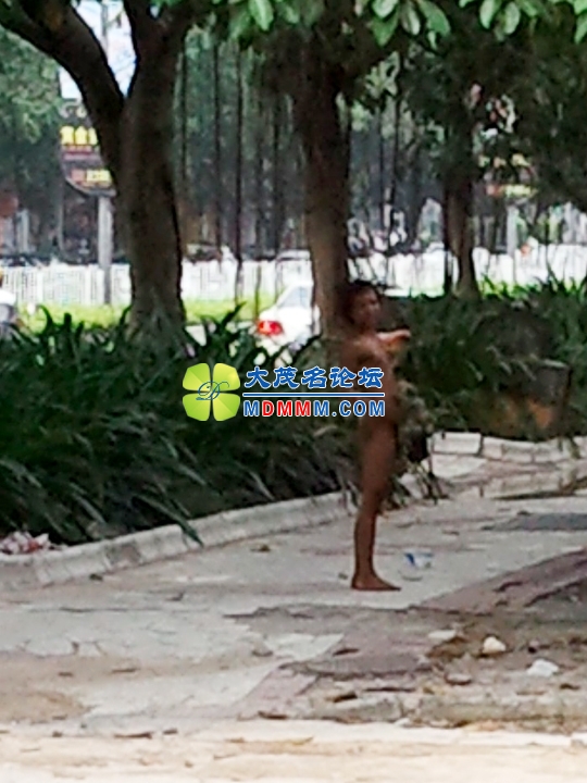 WP_001325.jpg