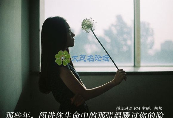 2013091772727241.jpg