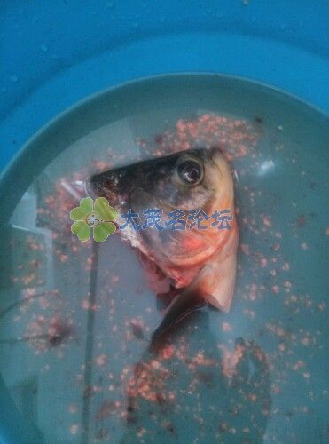 IMG20130925101156.jpg