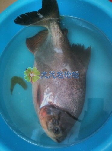 IMG20130925101207.jpg