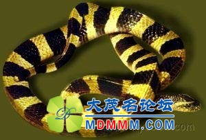 u=3041082136,2974728021&fm=23&gp=0.jpg