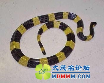 u=3705680056,1510133365&fm=23&gp=0.jpg