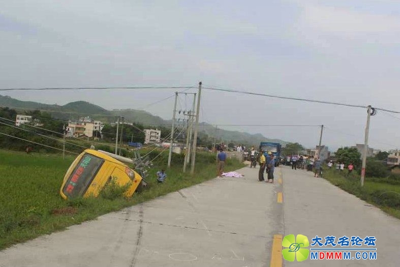 210035dr29g24ez4ppl4qe.jpg