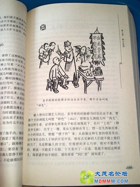 WP_001518.jpg
