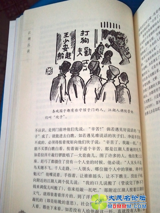 WP_001521.jpg