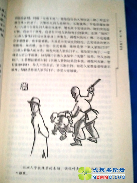 WP_001523.jpg