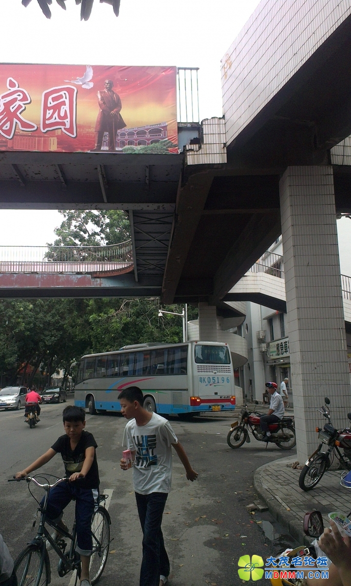 IMAG1288.jpg