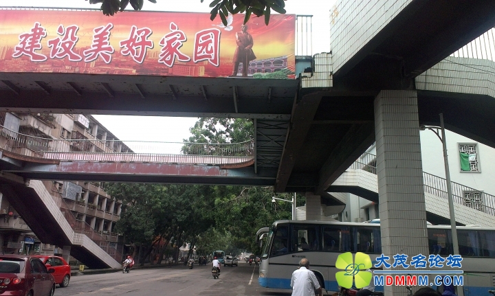 IMAG1289.jpg