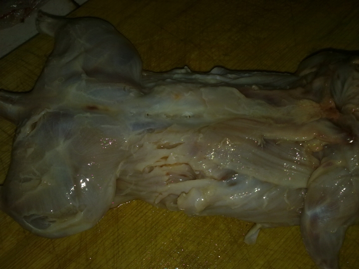 20120224063.jpg