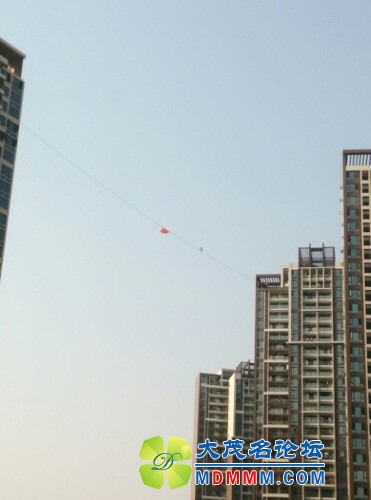 IMG20131003194246.jpg