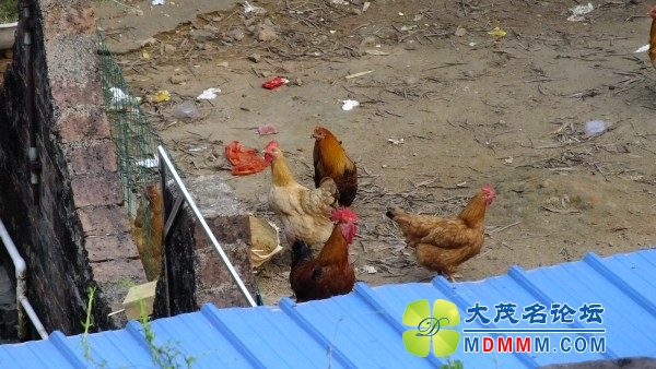 conew_dscf5737.jpg