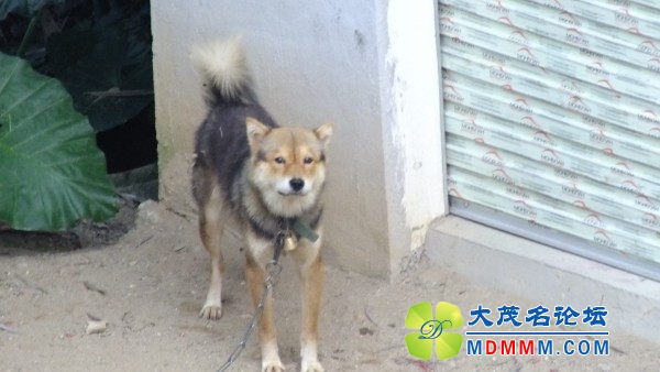 conew_dscf5743.jpg