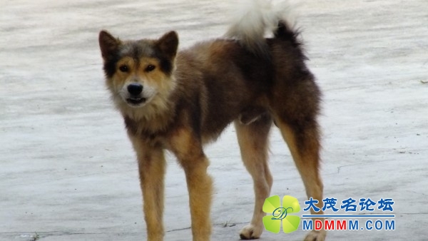 conew_dscf5745.jpg