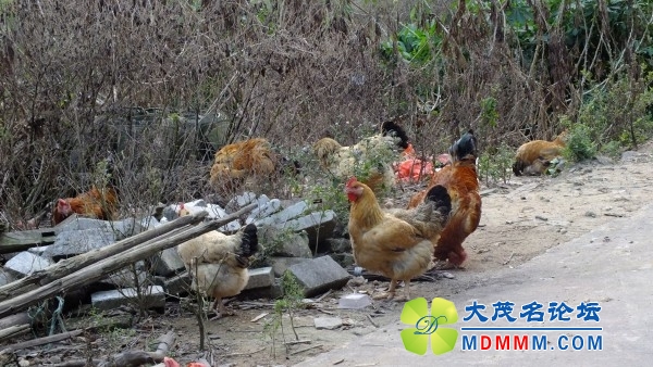 conew_dscf5752.jpg